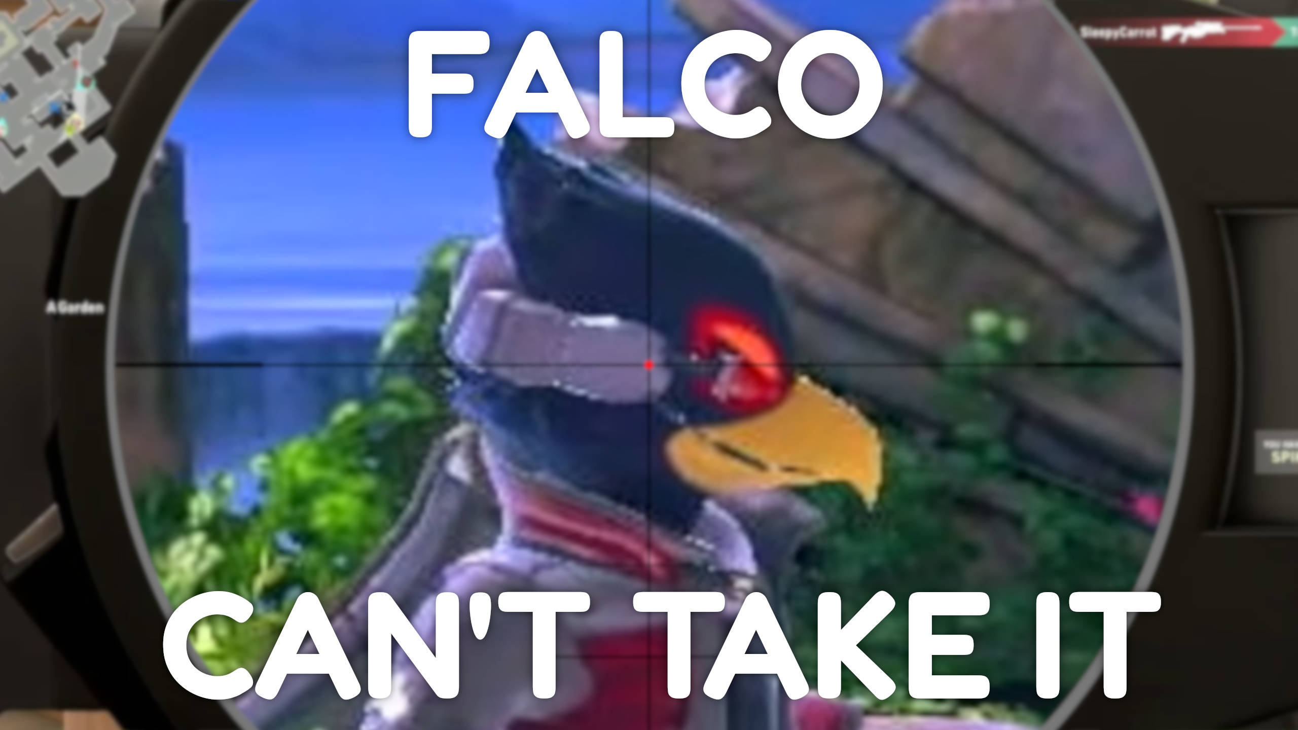 falco.jpeg
